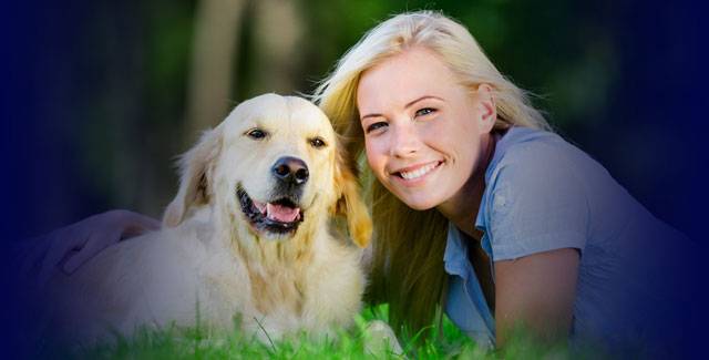 Dog Obedience Instructor | How to Become a Dog Trainer