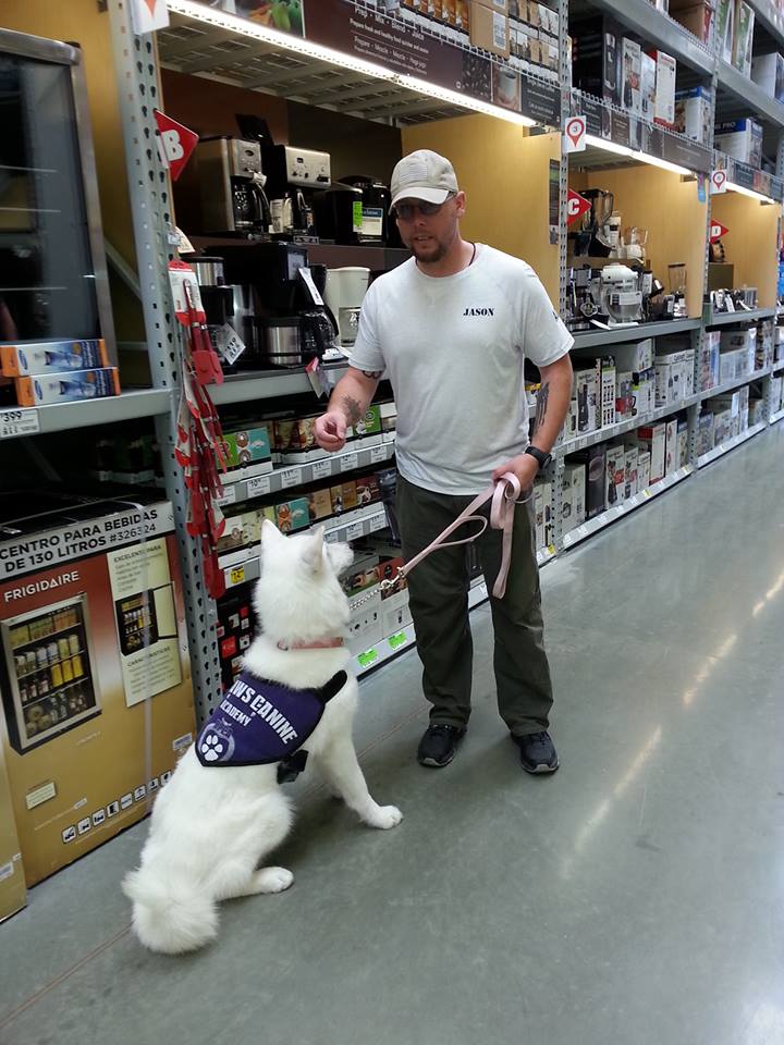 Service Dog Obedience Training by Jason at Big Paws Academy