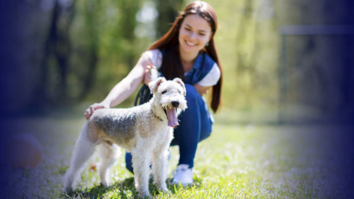 How Long Does It Take To A Certified Dog Trainer