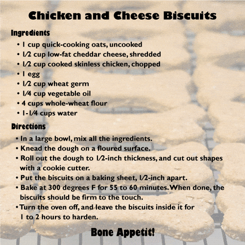 Chicken and Cheese Biscuits for Dogs