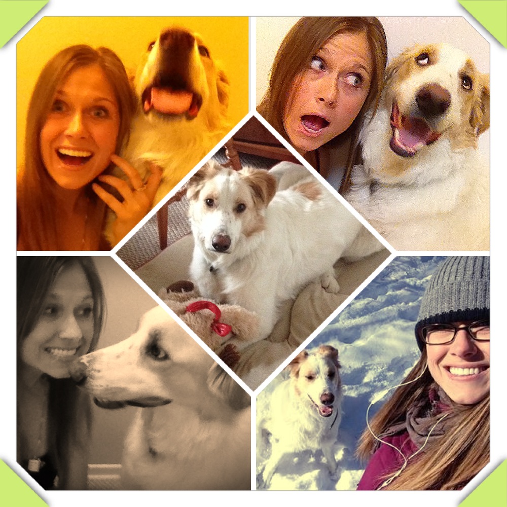 Laura Rosati Dog Trainer collage