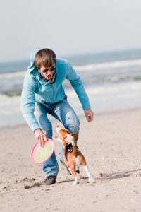 Dog Beach Dog Beach