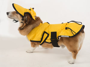 Tailored Dog Raincoat Supreme