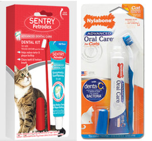 Cat Toothbrush and Toothpaste