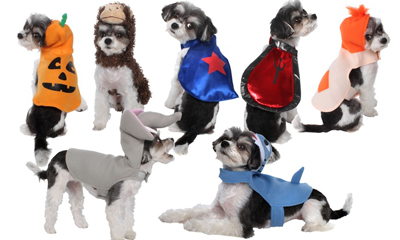 AKC Costume Line