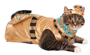 Cleopatra Cat Costume