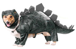 Dinosaur Dog Costume