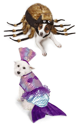 Dog Halloween Costumes