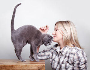 Petting a Cat Petting a Cat