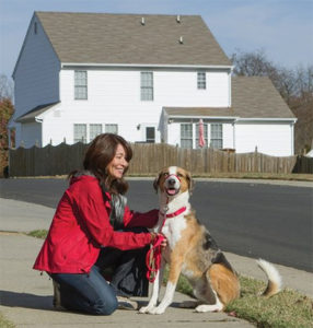 Gentle Leader Head Collar