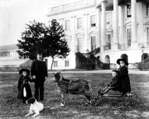 President Benjamin Harrison Pet Goat "Old Whiskers"