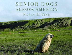 SeniorDogsAcrossAmerica-book