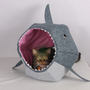 Shark Cat Ball