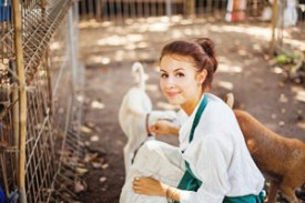 Help at Your Local Shelter Local Animal Shelters