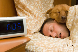 Sleeping With Dogs Sleeping With Dogs