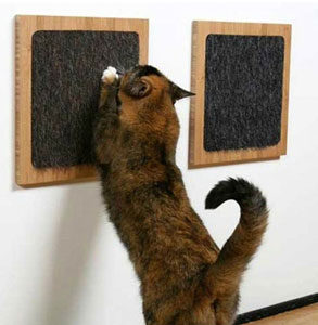 Cat Scratcher