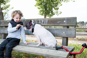 Giving Your Dog Treats Giving Dog Treats