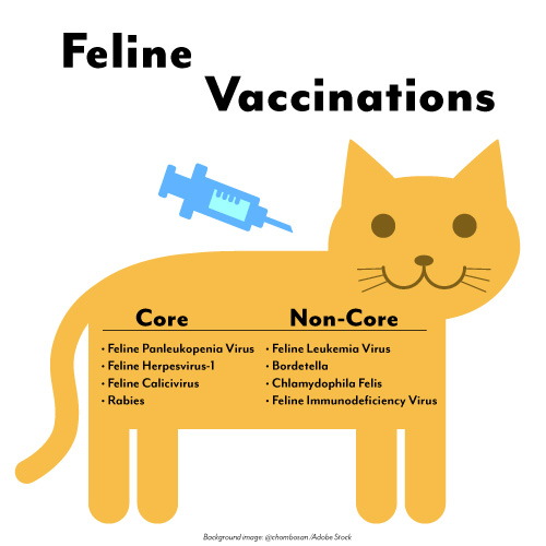 Cat Vaccinations