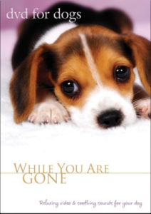DVD for Dogs: While You are Gone