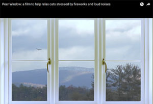 Peer Windows: A Film to Help Relax Cats