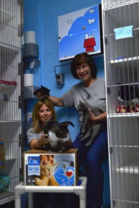 Animal Shelters in NJ