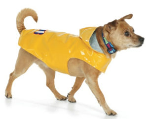 Dog Rain Coat