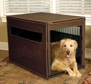 Picture of The Wonders of Crates for Dogs - Animal Behavior College