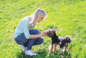 Become a Dog Trainer