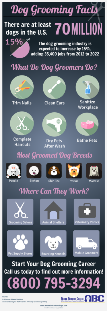 Dog Grooming Facts How to Become a Dog Groomer