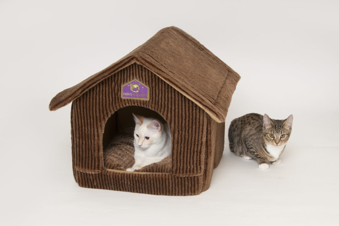 Cat Presents for the Holiday - Top 8 Gifts for Cats