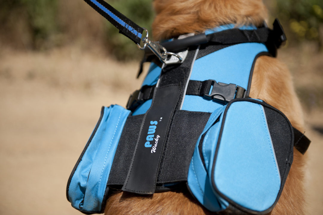 Wacky Paws Travel Harnesses