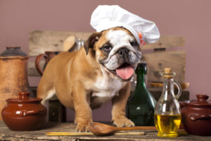 How to Include Pets in Your Thanksgiving Feast!