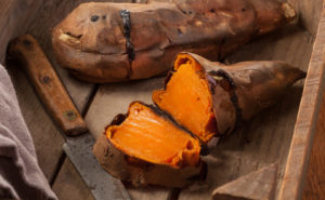 How to Include Pets in Your Thanksgiving Feast!