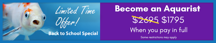 Become an Aquarium Expert