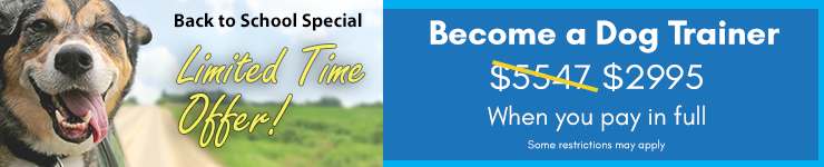 Become a Dog Trainer