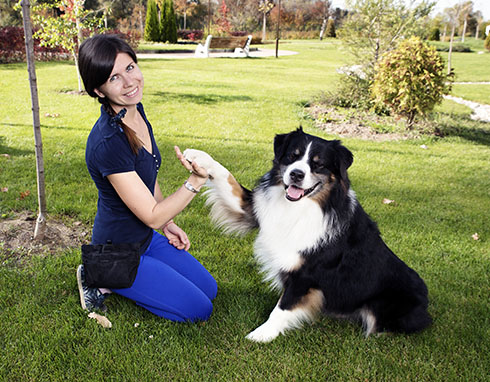 How to become a dog trainer