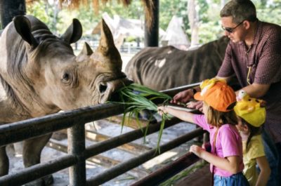 Humane Zoos