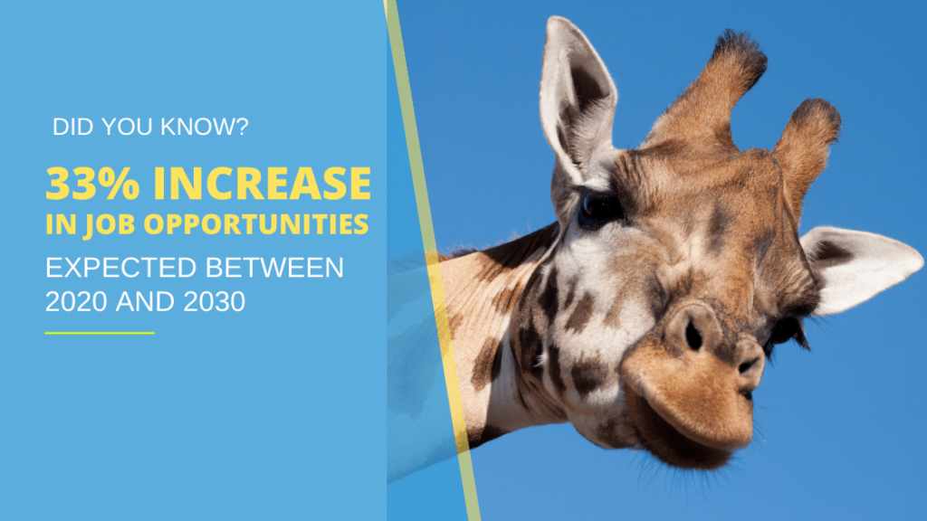 Zookeeper Assistant Program Explore Zoo Jobs