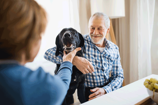 Smiling elderly man in a blue plaid shirt with arm draped over the neck of his black lab service dog