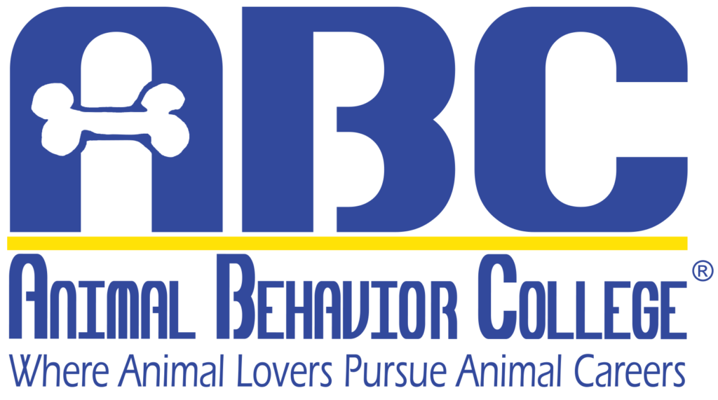 Press Release Animal Behavior College Is Accepting Enrollments for
