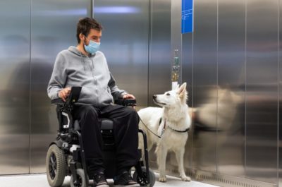 A man in a wheelchair rides an elevator with his trained mobility service dog
