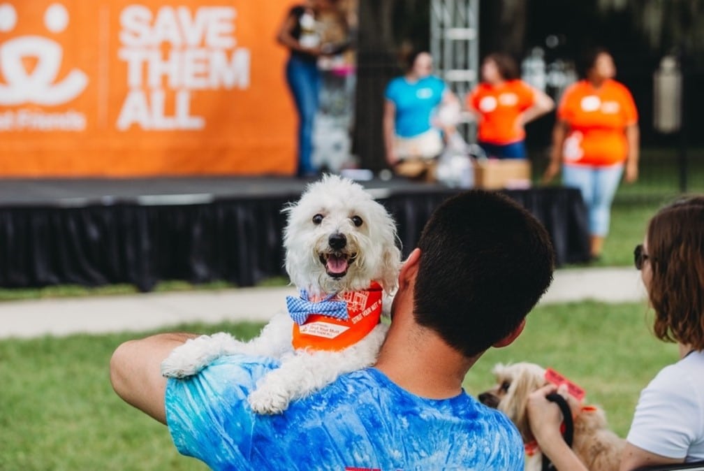 Best Friends Strut Your Mutt 2024 Kala Salomi