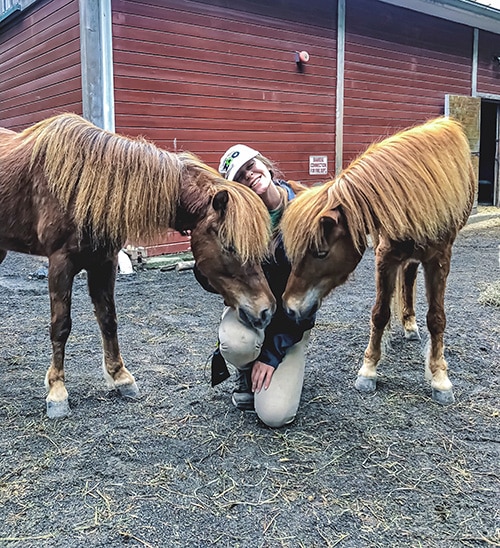 zookeeper assistant nuzzling two chestnut horses