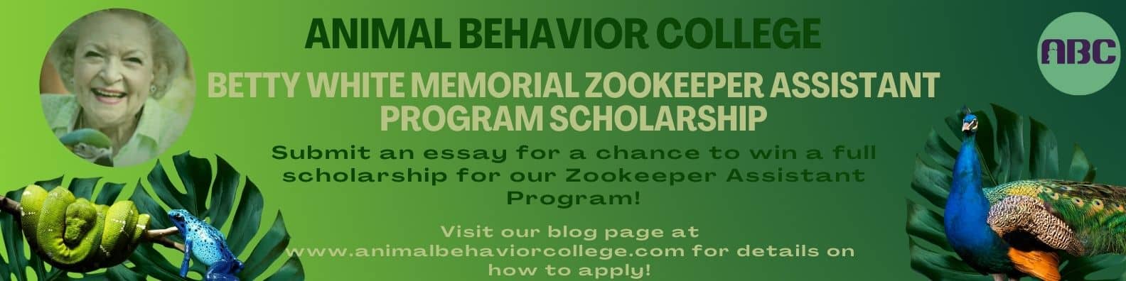 Animal Behavior College Betty White Scholarship