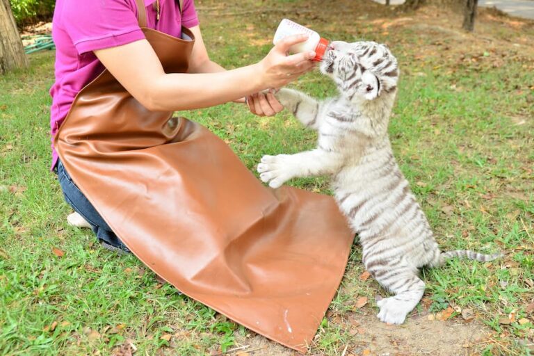 Zookeeper shop exotic pets