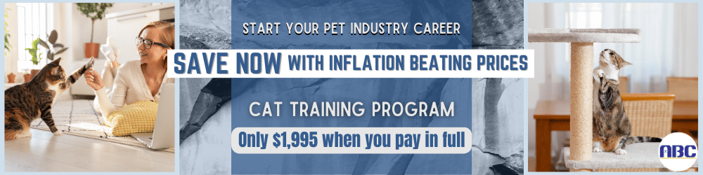 Cat Training and Behavior Management - Animal Behavior College