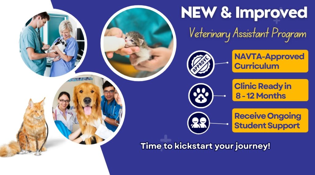 Veterinary Assistant School Animal Behavior College