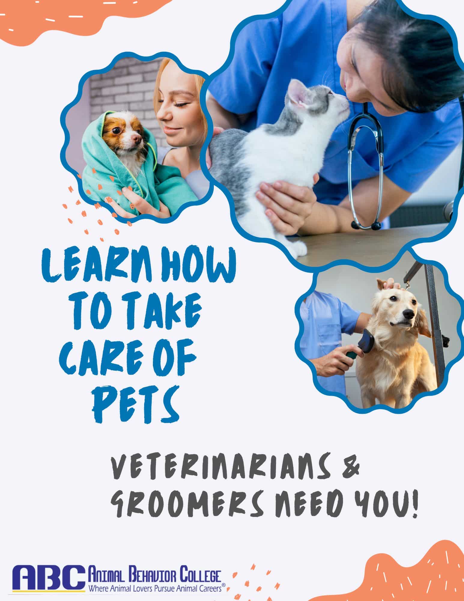 Veterinarians & Groomers Need You!