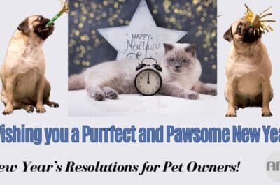 Animal Behavior College's New Year's Resolutions For Pet Owners