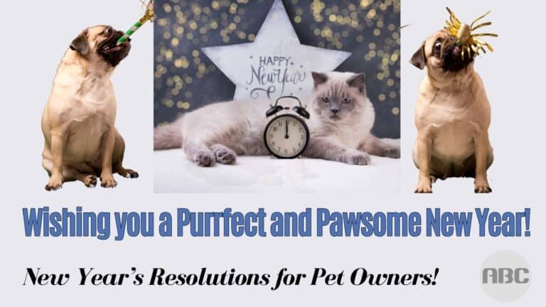 Animal Behavior College's New Year's Resolutions For Pet Owners